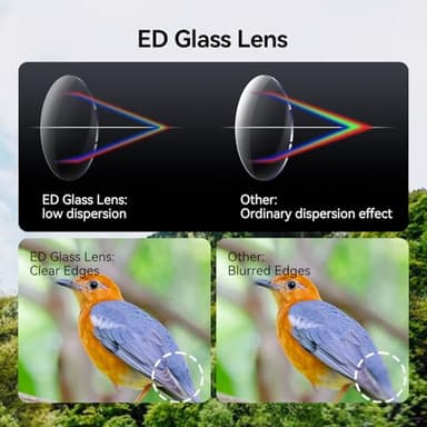 SVBONY Upgraded SV202 8x42 ED Binocular, Binoculars with Extra-Low Dispersion Objective Lenses for Birdwatching, BAK4 & FMC Optic System, Wide View Angle, IPX7 Waterproof for All-Weather Use - Image 3