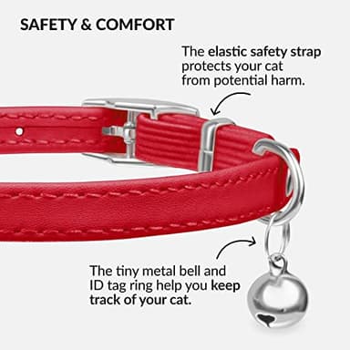CollarDirect Leather Cat Collar with Bell - Kitten Collar, Small and Big Cat for Boy Cats, Girl Cats with Safety Elastic Strap (Neck Fit 8"-11", Red) - Image 3