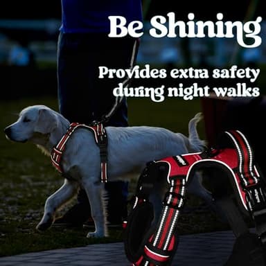 rabbitgoo Dog Harness for Large, No Pull Pet Harness with 3 Buckles, Adjustable Soft Padded Vest with Control Handle, Walking Reflective Pet Vest for Large Dogs, Red, L - Image 8