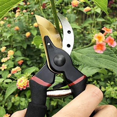 gonicc 8" Professional Premium Titanium Bypass Pruning Shears (GPPS-1003), Hand Pruners, Garden Clippers. - Image 6