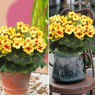 FAICOIA 2 Pcs Artificial Geraniums for Outdoor Silk Geranium Flowers Yellow Artificial Geranium Bush Faux Flowers Geraniums Branch for Garden Patio Grave Cemetary Vase Table Centerpiece Indoor Decor - Image 5