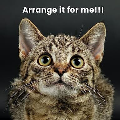 SHA CERLIN 68 Inches Multi-Level Large Cat Tree for Large Kitties/Big Cat Tower with Condo/Cozy Plush ‌Pussycat Perches/Sisal Scratching Posts and Hammocks/Activity Center/Leopard Print - Image 8