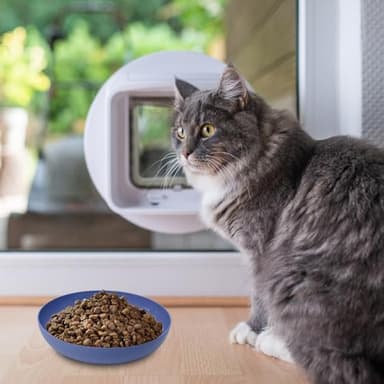 [8 Pack] Cat Dishes Whisker Friendly, Shallow Wide Pet Food and Water Bowl, Durable Wheat Straw Cat Bowls for Indoor Outdoor Cats - Image 7