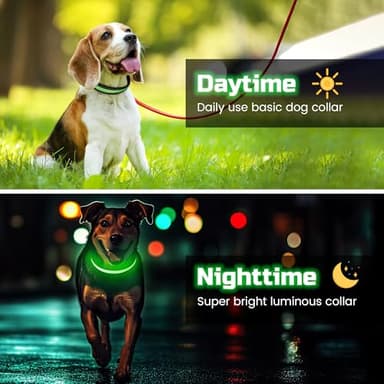 Light Up Dog Collar Rechargeable, LED Glow Collar in Dark with 3 Flash Mode for Outdoor Night Walking Visible Safe, Adjustable Waterproof Dog Light for Small Medium Large Breed, Green, M - Image 2