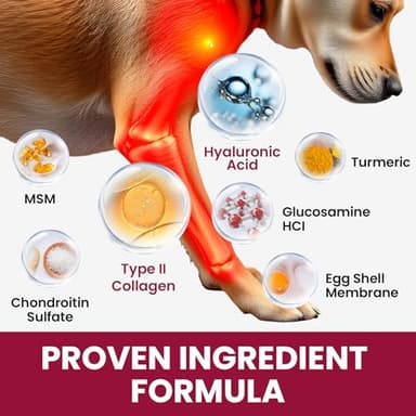 Glucosamine for Dogs Hip and Joint Supplement Chews, Chondroitin Joint Supplement for Dogs, Joint Chews for Dog, Dog Supplement for Joint Pain Relief - 60-Day Satisfaction Guarantee -180 Ct - Image 4