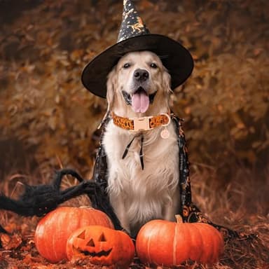 HSIGIO Soft Cotton Dog Collar, Adjustable Dog Collar with Metal Buckle, Halloween with Pendant Girl Boy Dog Collars Gift for Small Medium Large Dogs (Large) - Image 2