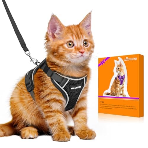 Halypet Cat Harness and Leash Set [MAX Safety 4th-Gen Upgrade] Escape Proof Adjustable Cat Leash Comfortable Soft Vest Easy to Wear Kitten Harness with Reflective Strip for Cats Walking, M Black - Image 1