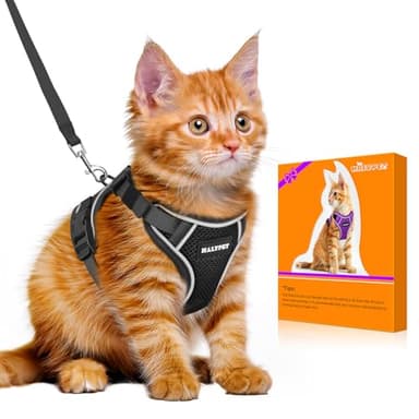 Halypet Cat Harness and Leash Set [MAX Safety 4th-Gen Upgrade] Escape Proof Adjustable Cat Leash Comfortable Soft Vest Easy to Wear Kitten Harness with Reflective Strip for Cats Walking, M Black - Image 1