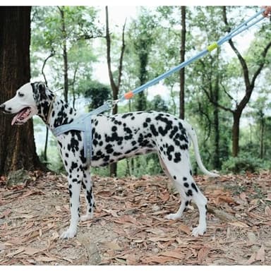 Maogoublue 2.29FT Dog Leash for Small Medium Large Dogs with 360° Rotating Alloy Buckle, Innovative Design, Adjustable Comfortable Handle and Sturdy Polyester Material (Pink) - Image 5