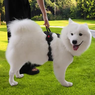 Gimilife Dog Harness, Adjustable Reflective Dog Vest No Pull Dog Harness with Badge and Bow Tie for Puppy Small Medium Large Dogs - Image 6