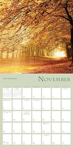 Enchanted Pathways 2025 Wall Calendar — The Photography of Lars van de Goor, 12" x 12" - Image 5