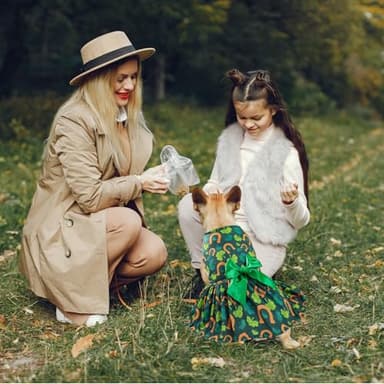 St. Patrick's Day Dog Costume Dress S, Green Shamrock and Horseshoe Print with Satin Bow, Pet Outfit for 6-7 lbs Dogs and Cats, Festive Holiday Apparel - Image 5