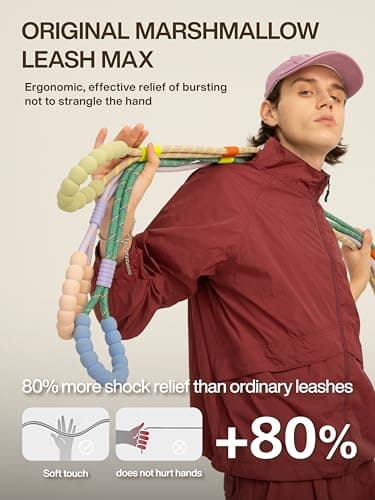 Maogoublue 5FT Dog Training Leash, Heavy Duty Nylon Rope Dog Leashes with 360° Swivel Aluminum Clip and Comfortable Padded Handle No Pull Reflective Leash for Medium Large Dogs - Image 5