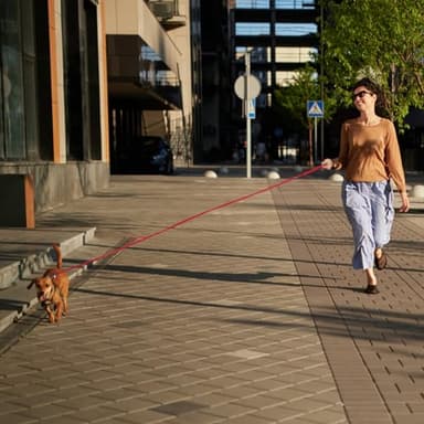 Dog Leash with Electroplated Black Hardware, Lightweight Leash with Traffic Handle, 10FT Waterproof Red Dog Lead Coated with Durable and Odor Free Material for Small and Medium Dogs - Image 7