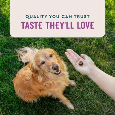 VetIQ Advanced Calming Support Supplement for Dogs, Calming Chews Help Manage Stress and Promote Relaxation, Anxiety Relief for Dogs, Made in The USA, 60 Count - Image 7