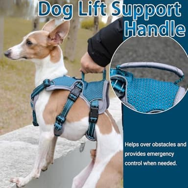 BELPRO Multi-Use Support Dog Harness, Escape Proof No Pull Reflective Adjustable Vest with Durable Handle, Dog Walking Harness for Big/Active Dogs (Blue, XL) - Image 4