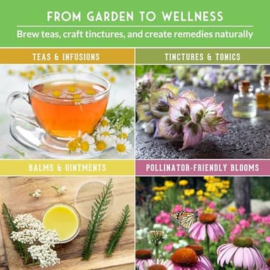 Ultimate Medicinal Herb Seeds Variety Pack – 36 Heirloom Varieties, 28,000+ Lavender, Calendula, Echinacea, Peppermint, Yarrow – Non-GMO Garden Kit by Survival Garden Seeds - Image 4