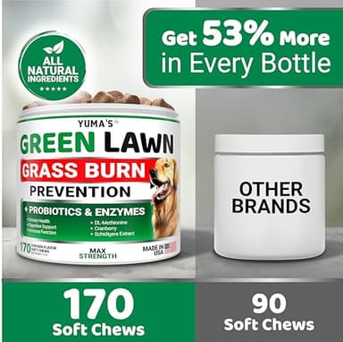 YUMA'S Dog Urine Neutralizer for Lawn - 170 Chews - Advanced Grass Green Savers for Dog Urine - Canine Pee Grass Neutralizer Supplement - Green Lawn Treats with Probiotics and Digestive Enzymes - Image 5