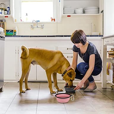 Kytely Large Collapsible Dog Bowls 2 Pack, 34oz Foldable Dog Travel Bowl, Portable Pet Water Food Bowl with Clasp, Pet Cat Feeding Cup Dish for Traveling, Walking, Hiking (Pink+Grey) - Image 7