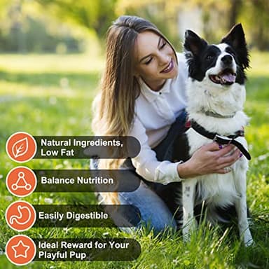 MON2SUN Chicken Jerky Dog Treats Made with Chicken Breast, High Protein & Grain Free, Training Treats for Small to Large Dogs (14.11 Ounce -Pack of 1) - Image 4