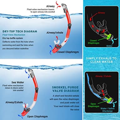 ZEEPORTE Mask Fin Snorkel Set with Adult Snorkeling Gear, Panoramic View Diving Mask, Trek Fin, Dry Top Snorkel +Travel Bags, Snorkel for Lap Swimming - Image 4
