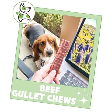 Nature Gnaws Beef Gullet Chews for Small Dogs 4-5" (20 Count) - Natural Beef Jerky Stick Dog Chew Treats - Rawhide Free - Image 6