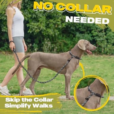 Fida Durable Slip Lead Dog Leash, 6 FT x 1/2" Heavy Duty Dog Loop Leashes, Comfortable Strong Rope Slip Leash for Large Medium Dogs, No Pull Pet Training Lead with Highly Reflective(1/2", Black) - Image 5