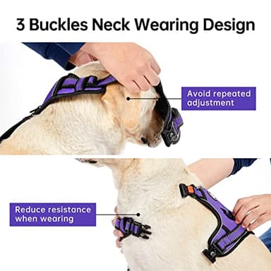 IVY&LANE No Pull Dog Harness for Large Dogs, Dog Vest Harness with Leash, Safety Belt and Storage Strap, Fully Adjustable Harness, 360° Reflective Strip, Soft Handle (Purple, L) - Image 4