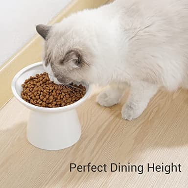 CEEFU Extra Wide Elevated Ceramic Cat Bowl - 6.2" Shallow Dish for Whisker Fatigue Relief, 5" Height for Easy Feeding, Lead & Cadmium Free, Durable Raised Cat Food Bowls, White - Image 2