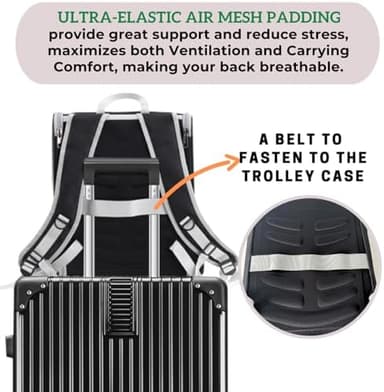 Lollimeow Cat Backpack Carrier, Ideal for Small Animals & Puppies, Airline Approved,Safe for Travel, Hiking, Vet Transport & Outdoor Use Fully Ventilated Design for Ultimate Comfort On-The-Go - Image 7