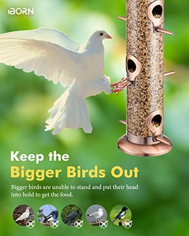 iBorn Metal Bird Feeders Brushed Copper Wild Bird Feeder for Outdoors Hanging All Metal Brushed Copper Finishing 14 Inch 6 Port(Seed is not Included) - Image 9