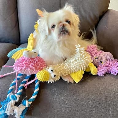 Nocciola Small Medium Large Dog Toys, Cute Soft Squeaky Crinkle Plush Stuffed Durable Pet Teething Animal Chew Toys for Small to Large Breed, Cognitive Stimuting Boredom Puppy Busy Birthdays Gifts - Image 8