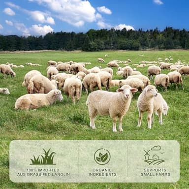 CHIALING Handmade Lanolin - 100% Pure Natural Australian Lanolin Cream - Made in USA - USP Grade Moisturizer for Dry/Cracked Skin, Nipple Discomfort, Lip Hydration & Eczema | Unscented, Additive-Free(3.5 oz) - Image 4