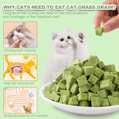 Dylan's cabin Cat Grass Teething Cube Treats - Natural Freeze Dried Edible Cat Chew Toy for Teeth Cleaning and Hairball Removal(80g) - Image 4