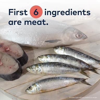 ZIWI Peak Steam & Dried Cat Food – Cage-Free Chicken w/Whole Mackerel - High Protein, Skin & Coat Health, Low Carb, for All Life Stages (28.8oz) - Image 3