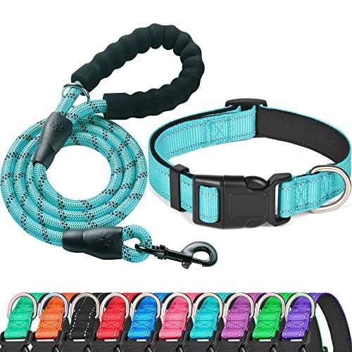 Ladoogo Reflective Dog Collar Padded with Soft Neoprene Breathable Adjustable Nylon Dog Collars for Small Medium Large Dogs (Medium (Pack of 1), Blue Collar+Leash) - Image 1
