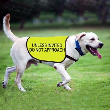 Nervous Dog Jacket Vest Unless Invited Do Not Approach Dog Slogan Vest Social Distancing Gift (Unless Invited-Large) - Image 4