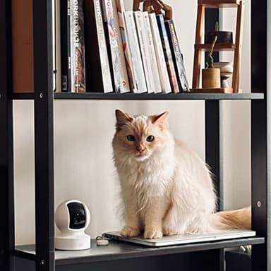 Kasa Indoor Pan/Tilt Smart Security Camera, 1080p HD Dog-Camera,2.4GHz with Night Vision,Motion Detection for Baby and Pet Monitor, Cloud & SD Card Storage, Works with Alexa& Google Home (EC70), White - Image 6