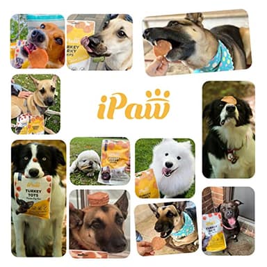 iPaw Chicken Tots Dog Treats for Puppy Training, All Natural Human Grade Dog Treat, Hypoallergenic, Easy to Digest (Chicken Tots) - Image 7