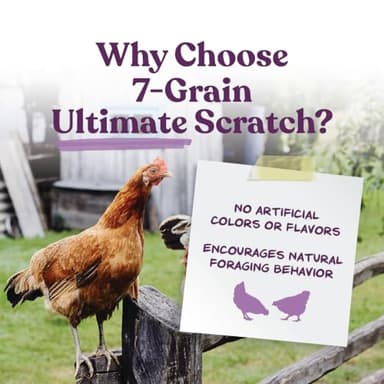 Manna Pro 7-Grain Ultimate Chicken Scratch – Non-GMO Scratch Grain Treat for Chickens, Hens and Other Birds – Natural Multigrain Blend for Poultry and Backyard Flocks – 10 lb Bag - Image 2