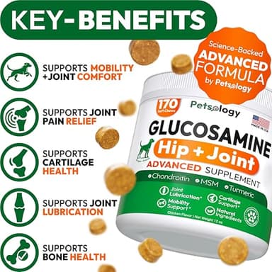 Petsology Glucosamine for Dogs - Hip and Joint Supplement for Dogs - 170 Mobility Chews - Glucosamine Chondroitin - MSM - Turmeric - Joint Pain Relief - Advanced Support for Dog Health - Made in USA - Image 2