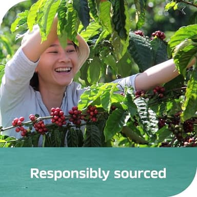 NESCAFÉ Espresso Concentrate Sweet Vanilla Flavored, Instant Espresso Coffee Concentrate, Cold Brew Style, Iced Coffee Style Drinks - Image 7