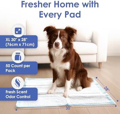 American Kennel Club Scented Puppy Training Pads with Ultra Absorbent Quick Dry Gel – 28 x 30 Pee Pads for Dogs - Fresh Scented - 50 Count, XL - Image 4