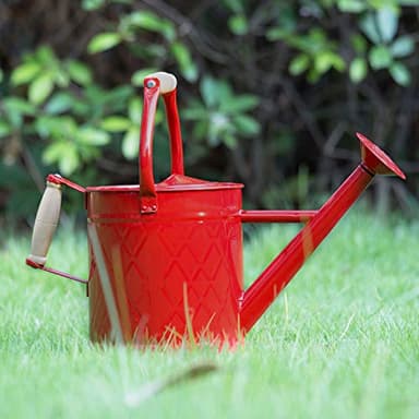 HORTICAN 1 Gallon Watering Can, Red, Galvanized, Metal Watering Can with Removable Spout, Perfect Water Can for Indoor & Outdoor Plants - Image 4