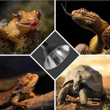 Reptile Heat Lamp 50W G9 Halogen Heat Bulb & Dome Reptile Light Fixture, Aluminum Reflector, UVA Basking Light for Reptiles, Dimmable Heat Lamp for Chicken Turtle Snake Gecko Lizard - Image 7