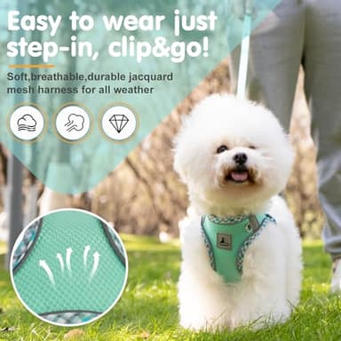 TomteNisse Dog Harness and Leash Set, No Pull Pet Harness for Small Dogs Easy Walking,Soft Breathable Small Dog Harness,Adjustable Reflective Step in Vest Harness for Puppy,Kitten, Cats - Image 2