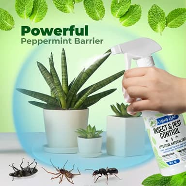 Mighty Mint Peppermint Oil Insect Repellent Spray – Natural Indoor & Outdoor Bug Control for Spiders, Ants, Roaches, and More – Plant-Based, Extra-Strong Formula - 16 oz - Image 2