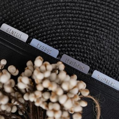 UPAFEXXI-Laminated Bible Tabs (Gold Foil Embossed Lettering), Bible Tabs for Women and Men, Reposition Large Print Stickers, Easy to Read and Apply, 80Chapters Labels for Easy Navigation(Blue) - Image 7