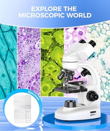 Compound Binocular Microscope for Adults, Professionals & Kids, 40X-2000X Magnification with LED Illumination, Mechanical Stage, WF10x & WF25x Eyepieces，Compatible for Lab, School, Home Education - Image 3