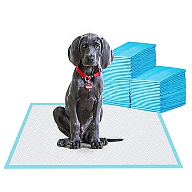 BESTLE Large Pet Training and Puppy Pads Pee Pad for Dogs 24"x24"-80 Count Super Absorbent & Leak-Proof - Image 1